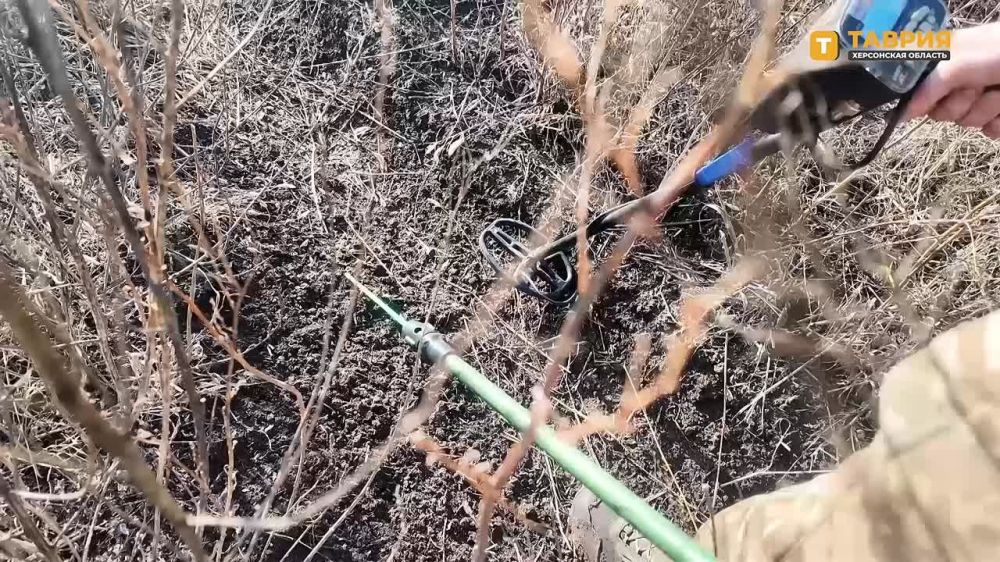 ������-���������� ��������������� ������������ ������� ���������� ��� ���������� ���� ��� � ����������� �������