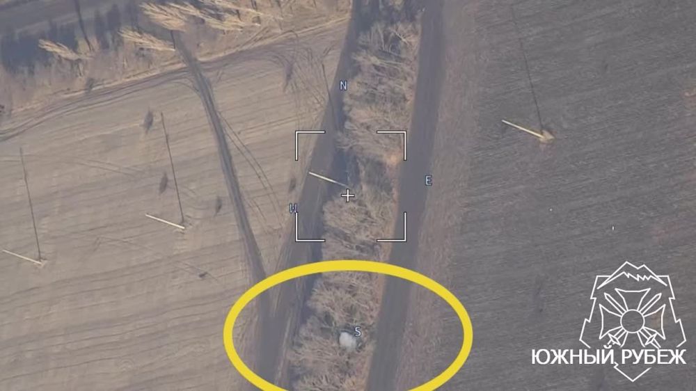 ���� �� �������: 381 �������������� ������, � ����������� �������������� ���������� "������", ���������� ���������� 105-�� ������� "L-119" � ������ �.�