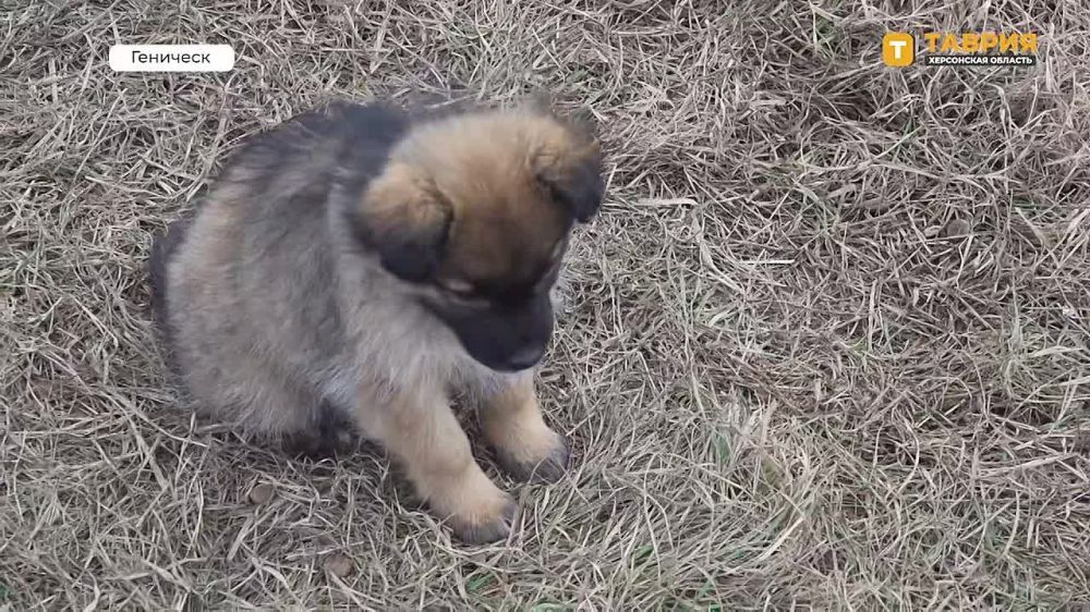 ��������� ����������� ������ "�����" �� ��� ���� ������ ������ ������ 1 000 ����� � �����