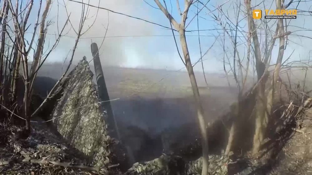 ���������� ����������� ����� "�����" ���������� ������ ���������� �� ������ ������ ������