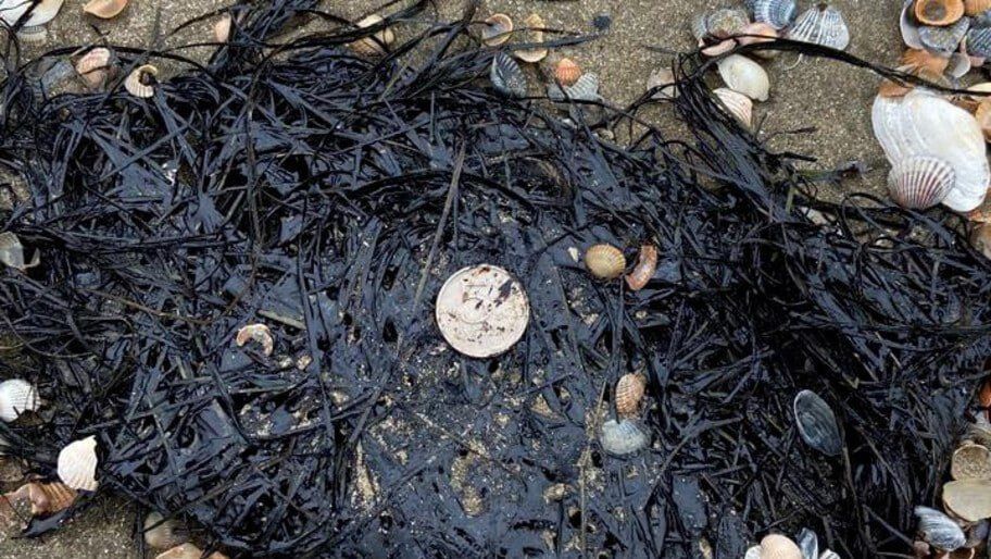 �� ������ ��������� ���� � ������������� ���� ��������� �����