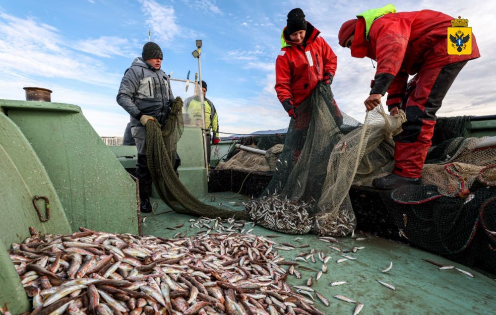 ���������������� ���������� ������������ ���� � ���������� �������