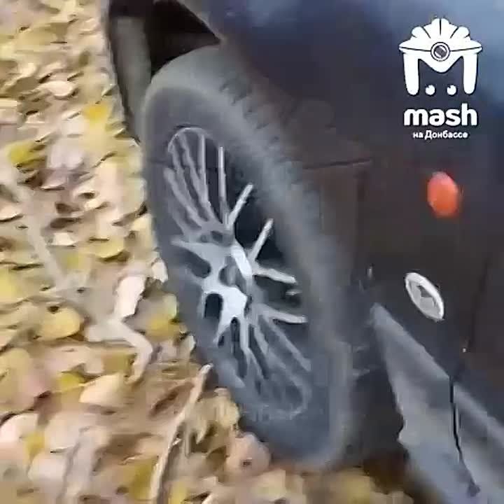 ��� ��������� ������-��������� ������ �������� ��� ����������