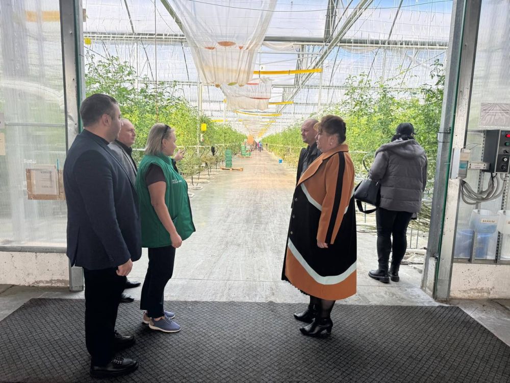 ���������� ������� ����������� ��������� ������ ���-��������