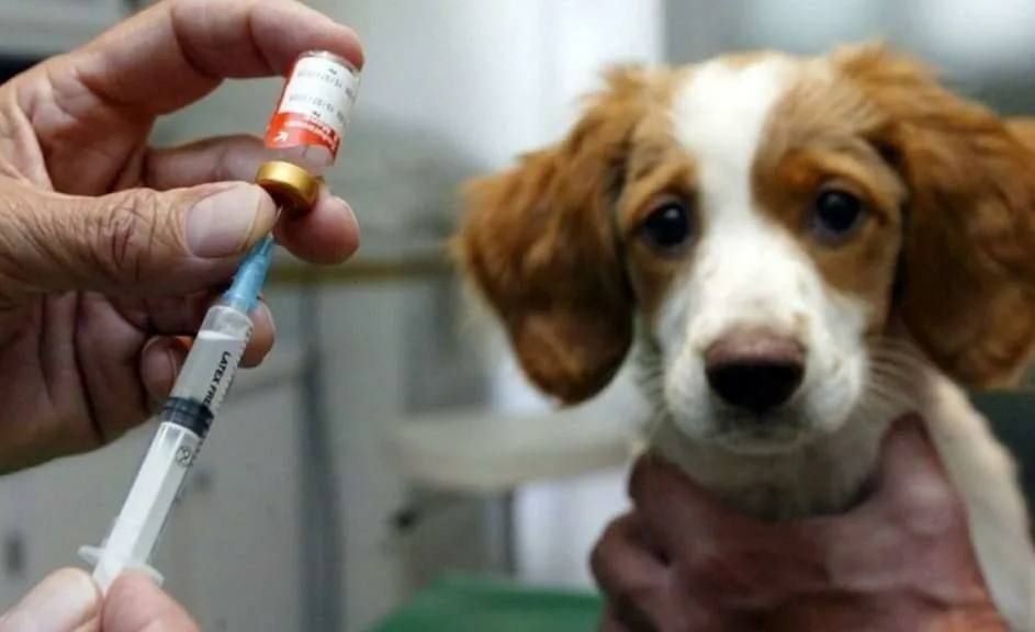 ��������, ������ ��������������� ����������� ���������!