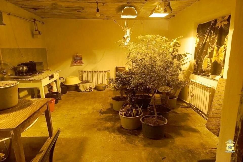 �������� ������ ��������������� ������� ����� � ���� ����