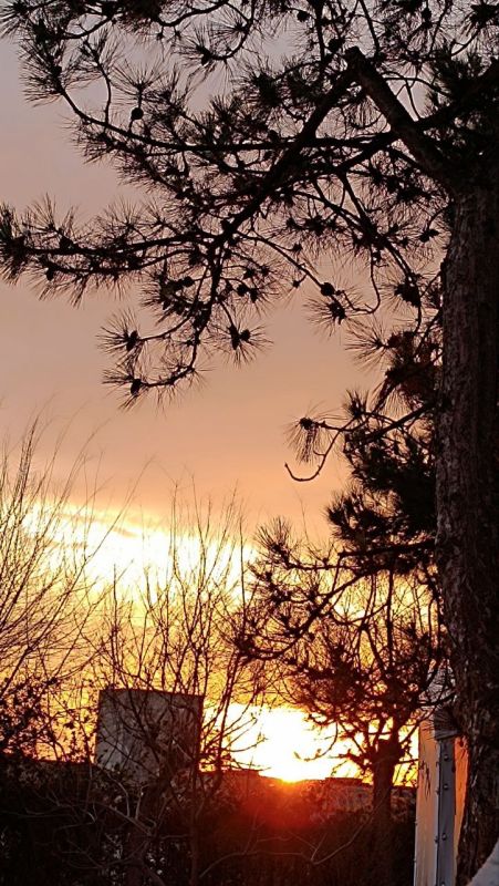 ������ ����, �����������!