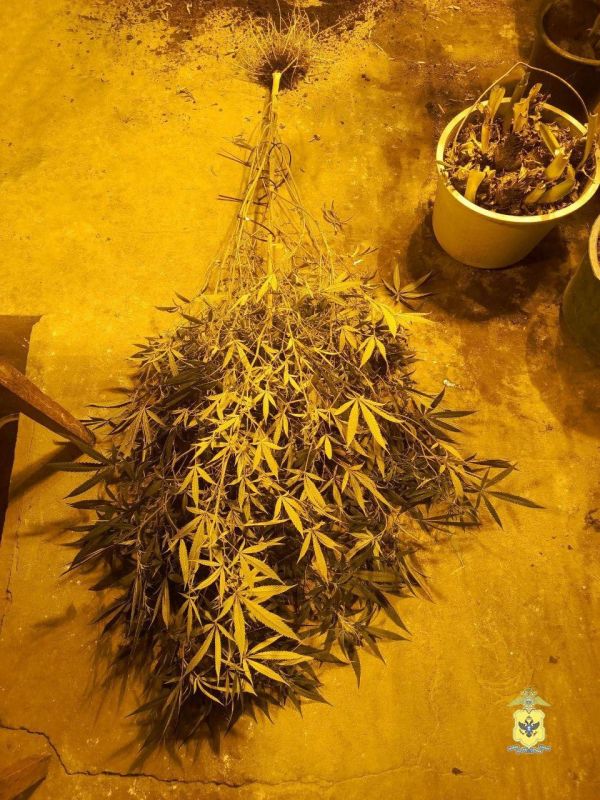 � ���������� ������� ���������� ������� ������ ���� ������� � ������������ �������� � ������ ���������� ������