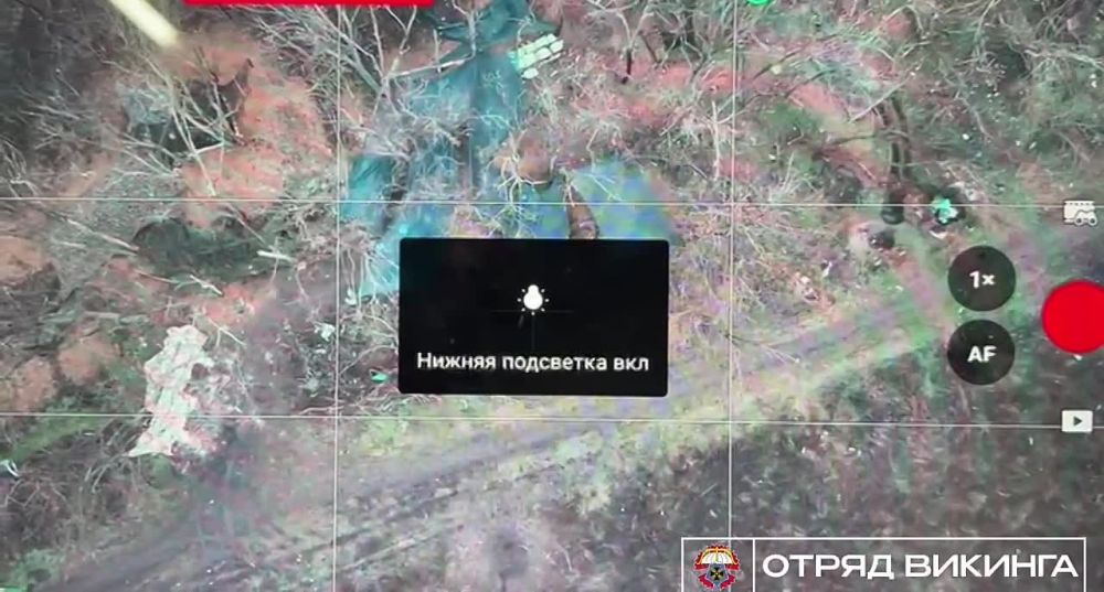 ���� �� �������: ������� � ���������� ��������� �������� �������