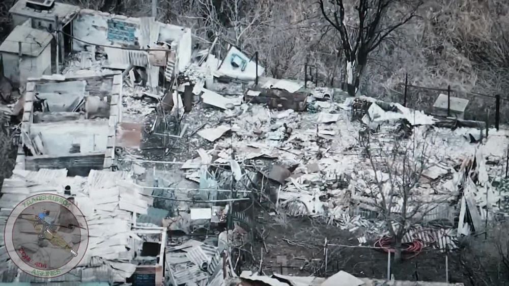 ���������� �����������. ������ �������� ������� fpv ������ �� ���������� �� ������ ������ ������ ���� �� �������