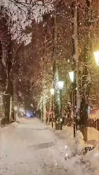 ***. ������ ������ ����� ����, �� �����, ����� ������ ����, ���� � ����� ������ ������, � � ����, ���, ��� ���� ������!