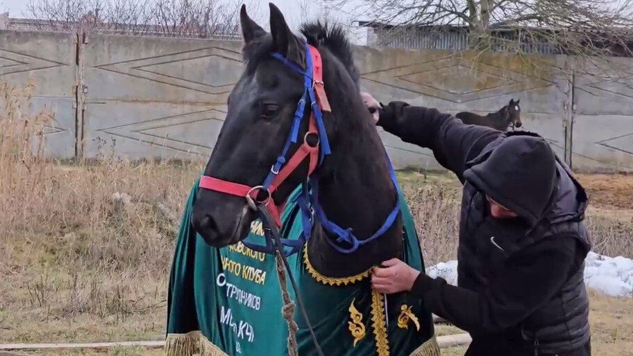 ���������� ������ ���� �������� ������� � ������� ������� � �������