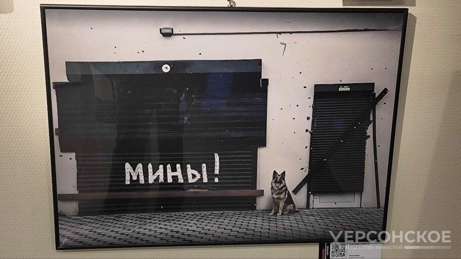 � ������ ��������� ������������ � ������� ���������� � ��������