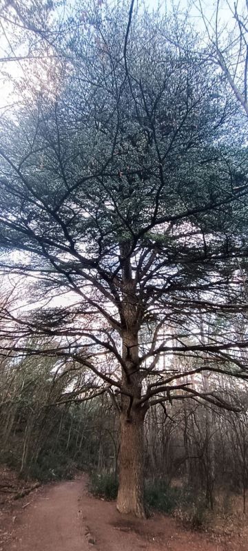 ���� ���� ��� ������ ������ ������ �����, ���� ������ �� ����, ��� �� ������ ���� ����, ������� ��, ����� �� �����