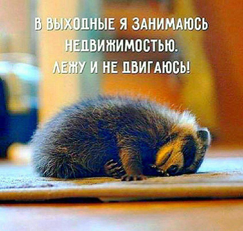 #������������