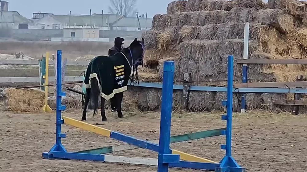 ���������� ������ ���� �������� �������� ���� ���� ����� ������������� �������� � ��������� ��������, ������ �������� �� ������������ ���������� ��� ���������-��������