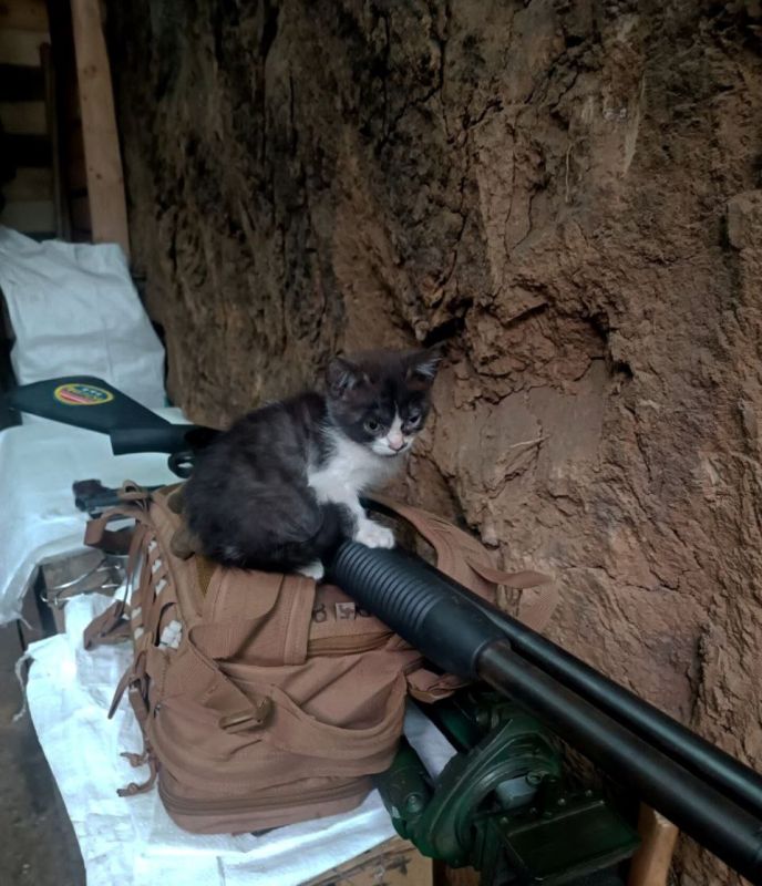 ���� �� �������: ������� ������� ������� �� ������������ �����