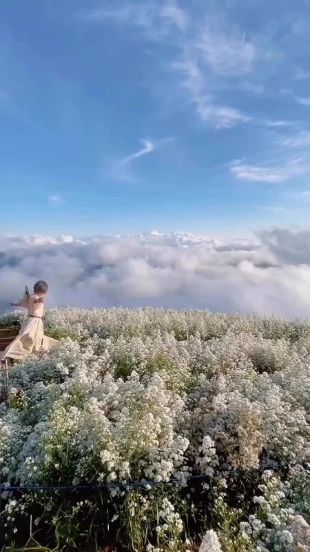 ���� ���� ����������� ������ ����