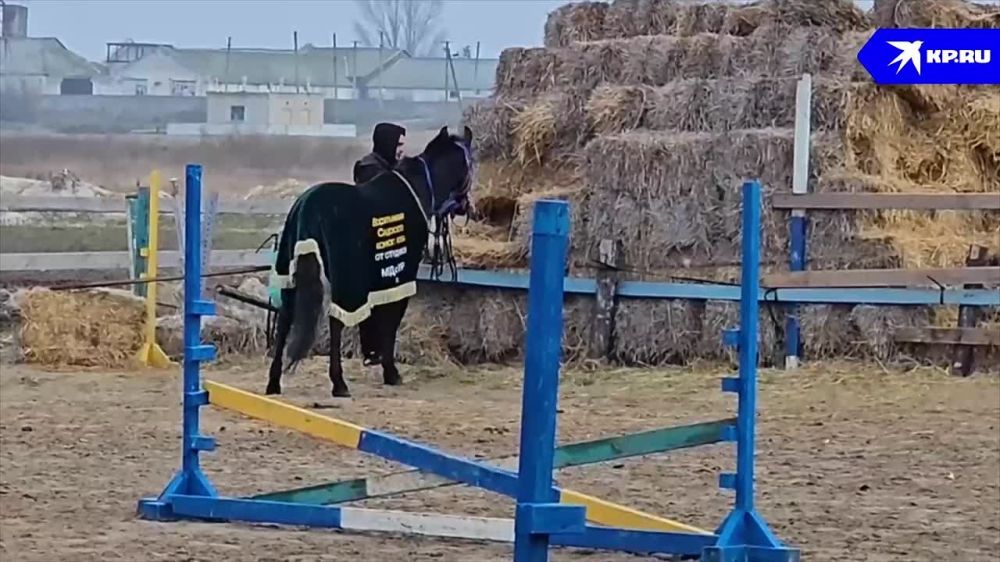 ������� ����� ��������� �������� ������� �� ���