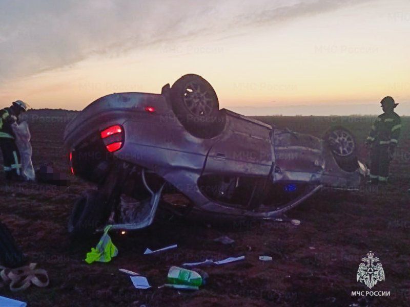 �� ���������� ��������-����� ��������� �������-������������ ������������