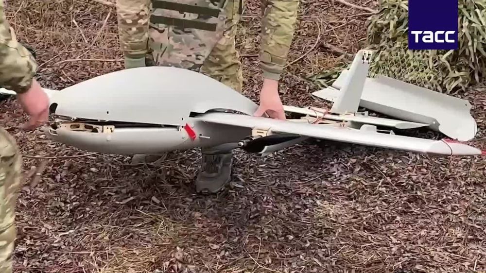 �� �� ���������� ������� ��� �� ������ ������ ������ ���������� �������