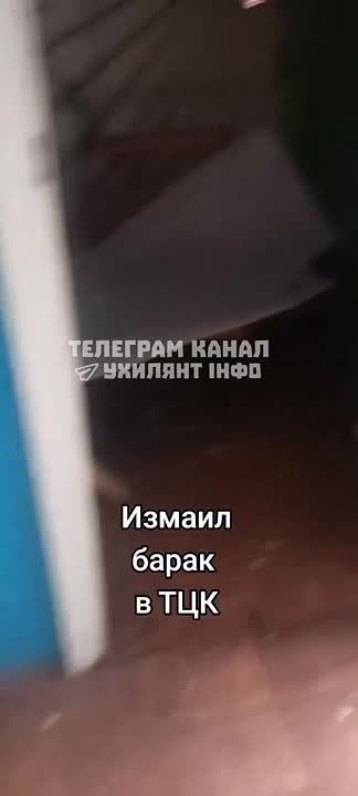 ������ ����� �� ��� � �������� �������