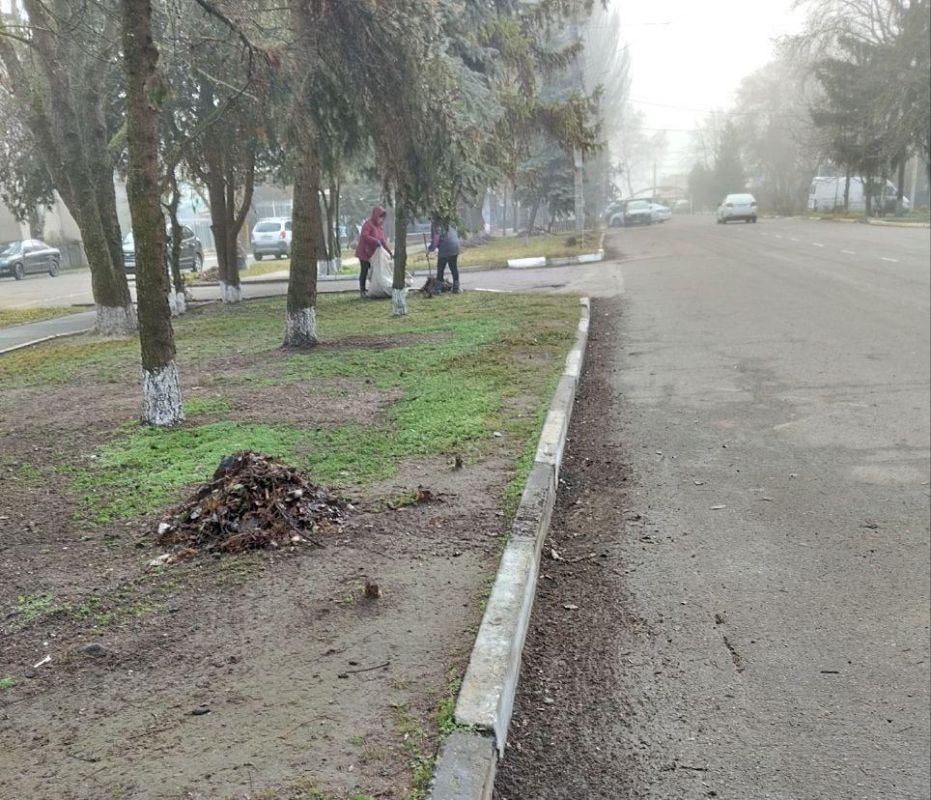 ����������� �������: ������ ��� �����������