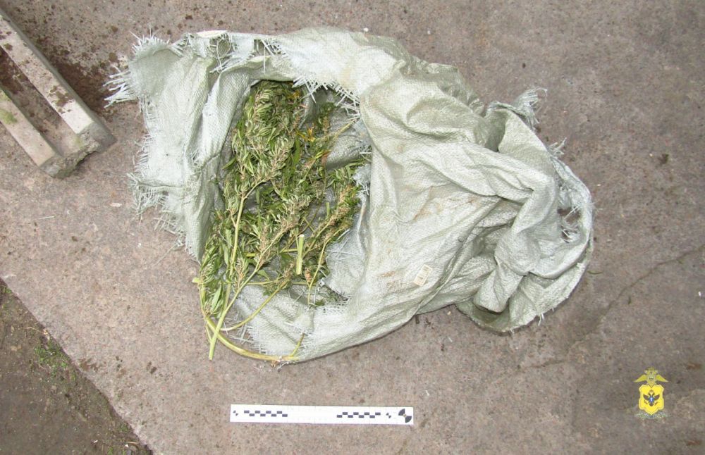 ����������� ������ � ������ ���������� ������ �������� � ����������� ������� ���������