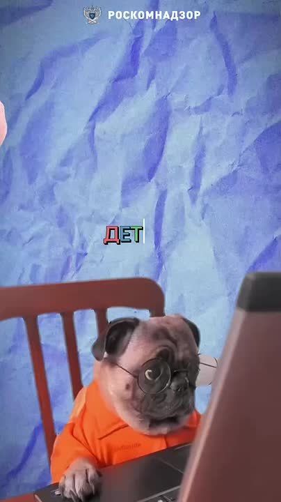 28 ������ � ������������� ���� ������ ������������ ������