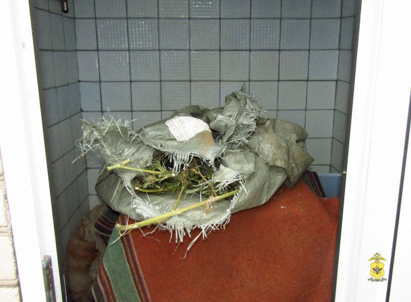 ������ ������������ ������ � ������ ���������� ������ �������� � ����������� ������� ���������