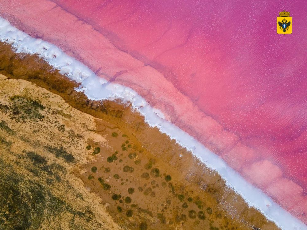 � ���������� ������� ������� ������ ����������������� �������� ��� �������� ��������� ��������������