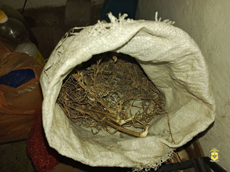 Житель Херсонской области подозревается в незаконном хранении растительного наркотик