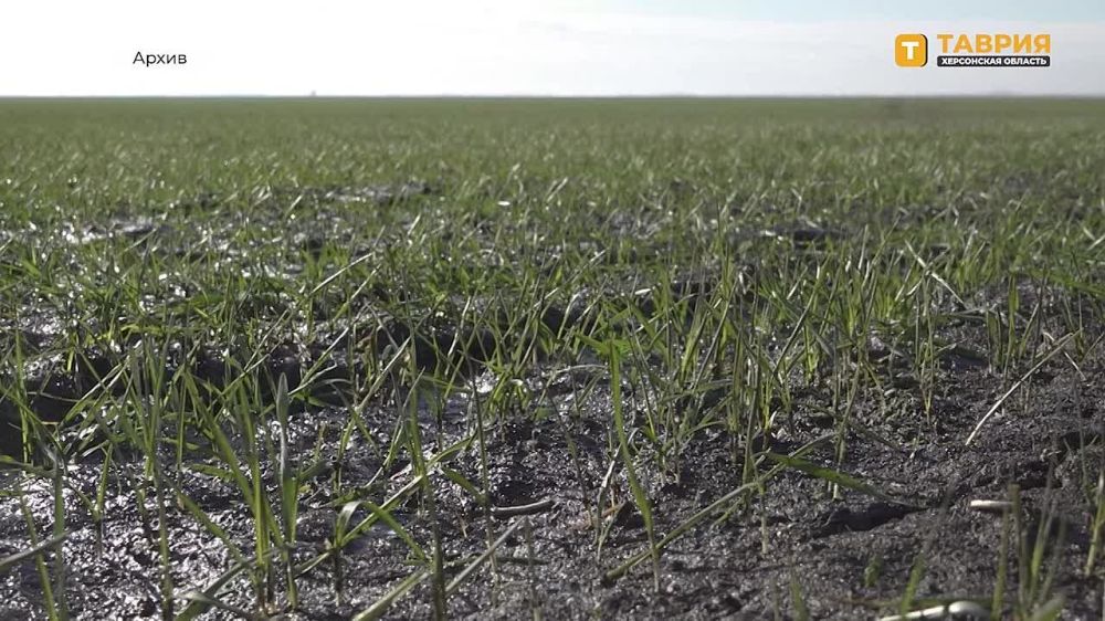 ���������� � �������� ������� ������� �������� � ���������� �������