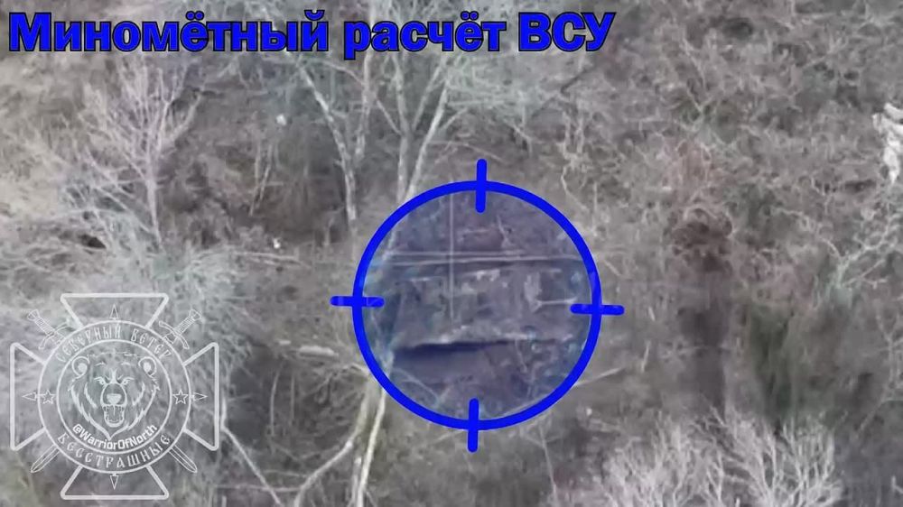 ���� �� �������: �� ���������� ������� ��� ������ �� ��������