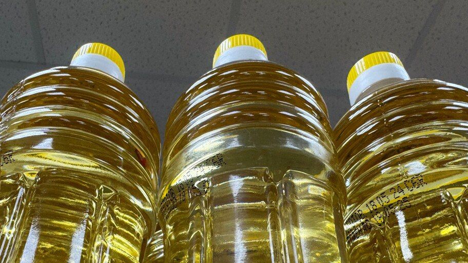 �����������-�������. ��������������� ������ ��������� �������� �� ������������ �����