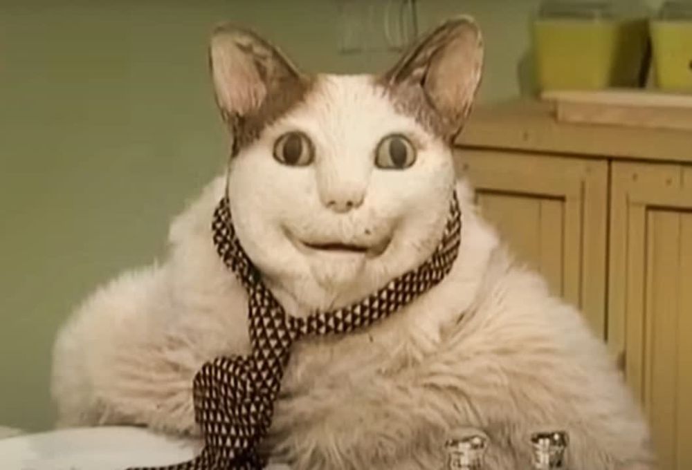 ����� ���������� ����� ������, ������� ����������� � ���������� ���