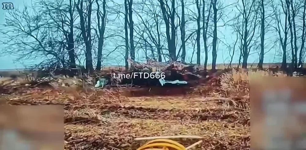 ���� �� �������: ���� ����� �������� ������ �� ����������� ���������������� ���� ���������� ����������� ���� "��������", ������� ��������� �� ������� ������ ����������