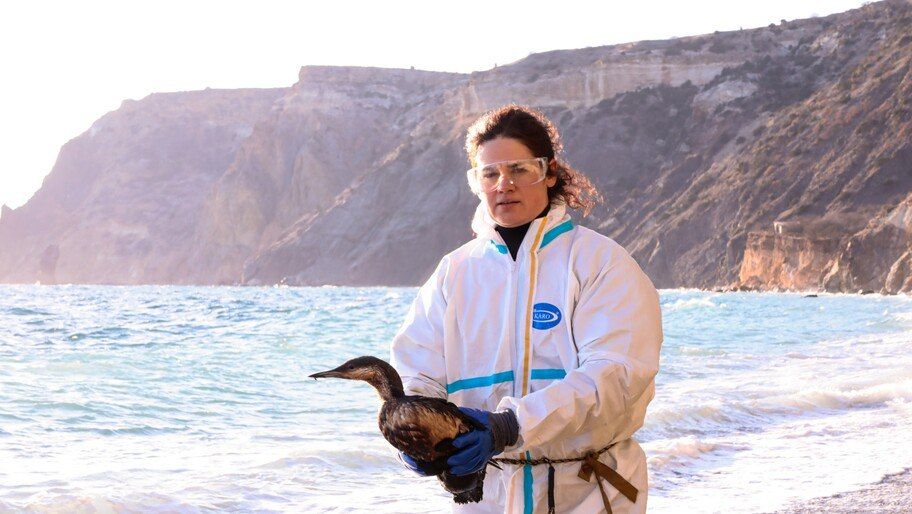 � ���������� ������� ������� ����� �� ������������ � �����