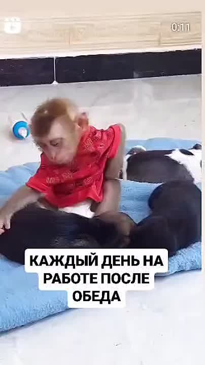 #������������