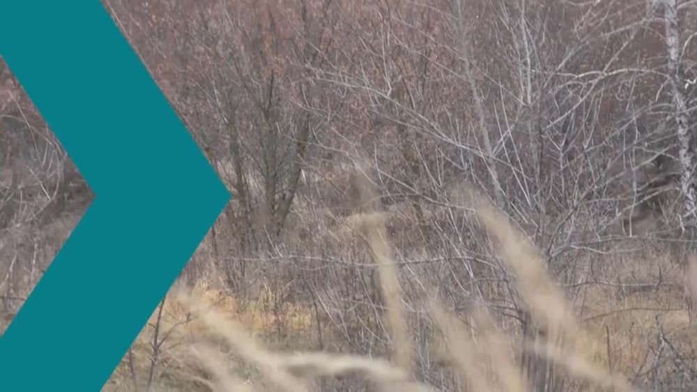 ������������� � �����!. 1 000 000 �� ������ �����