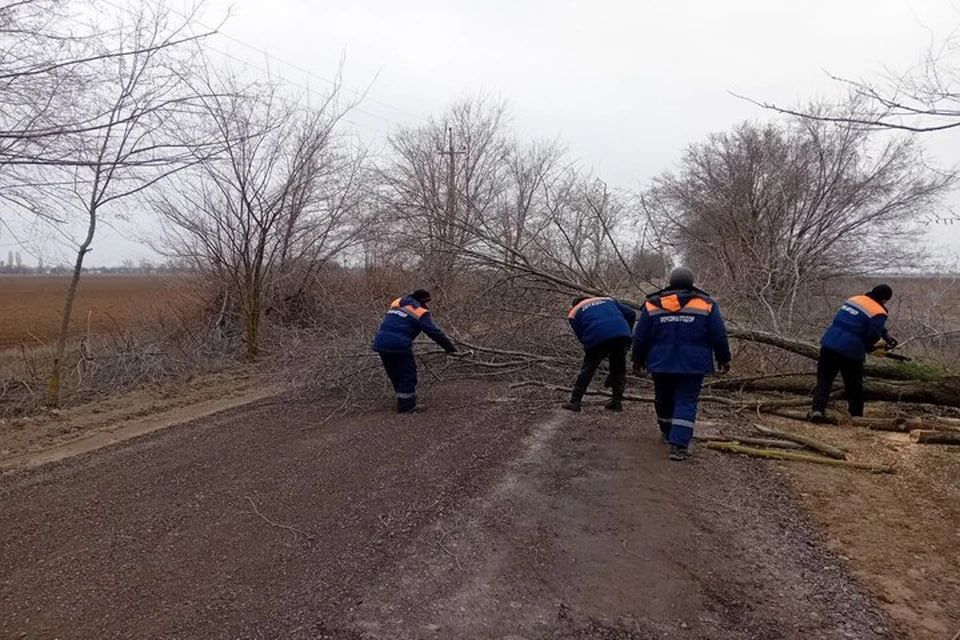 � ���������� ������ ����������� ��������� ������