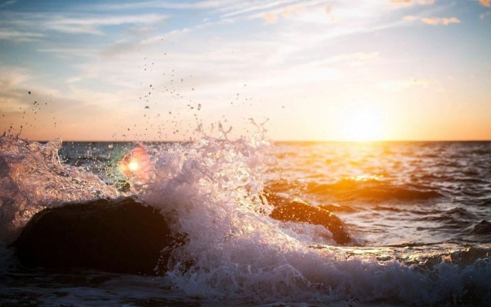 ����� ����������: ����� ����������� ���� ������ ����� � ��������! ������ ����, ������!