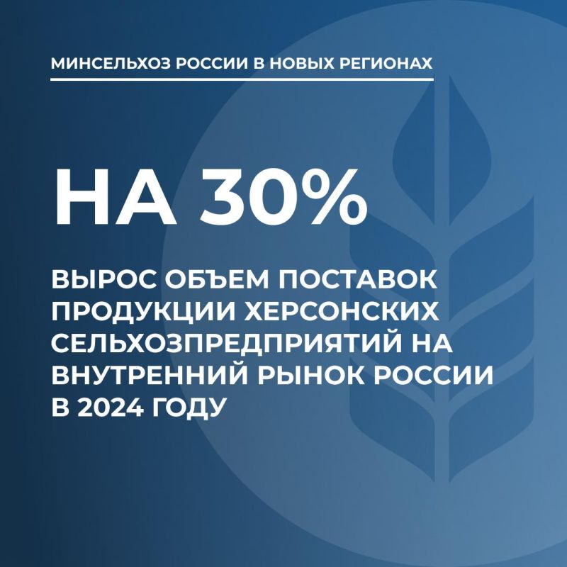 Объем поставок продукции херсонских сельхозпредприятий на внутренний рынок России за 2024 год вырос на 30%
