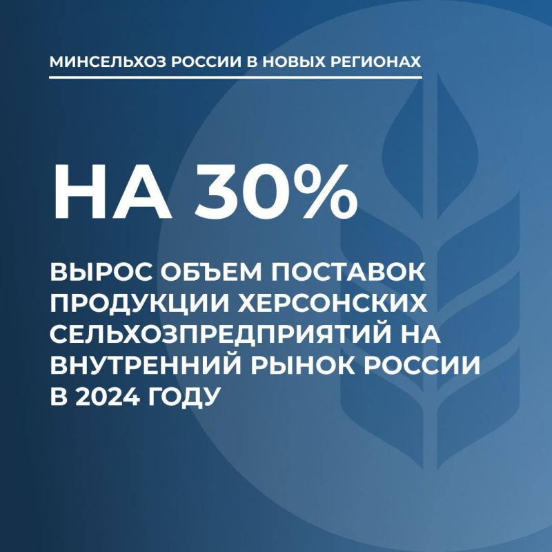 Объем поставок продукции херсонских сельхозпредприятий на внутренний рынок России за 2024 год вырос на 30%