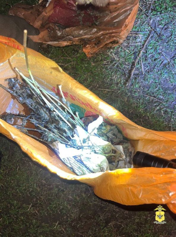 ����������� ������ �������-����� � ������ ������������� ������ ���������� �������