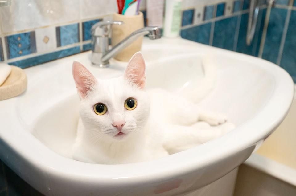 � ��������� � ���������� ������� ������� �������� ���� � �����