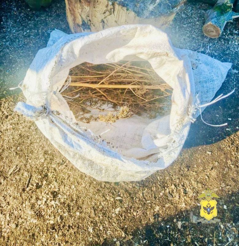 � ������������ ������ � 34-������� ������ ����������� ������ ������������ ��������