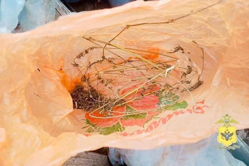 � ������ ��������� ������ ��������� � ����������� ��������������