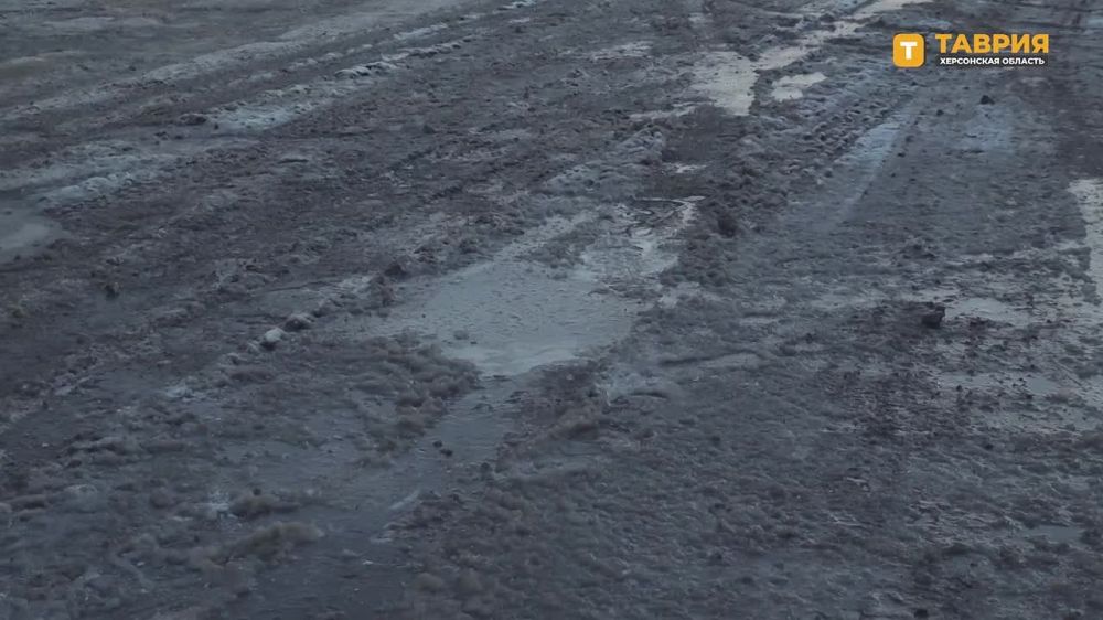 � ���������� ������ ���������� ��������� ��������� � ����� � ����� � ���������������� ��������� ���������