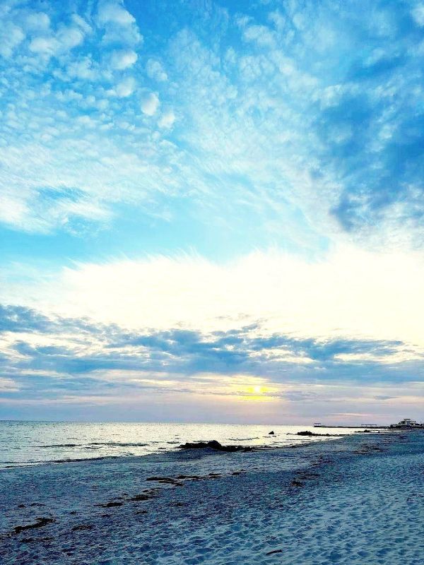 ����� ����������: ������ ����, ������!. ��������� ������� � ������������� �������� � ����������� � ����� ����������! #��84